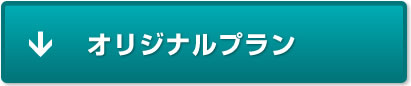 オリジナルプラン